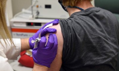 large Virus Outbreak Vaccine  ebcfaddbbbedfefbe beff