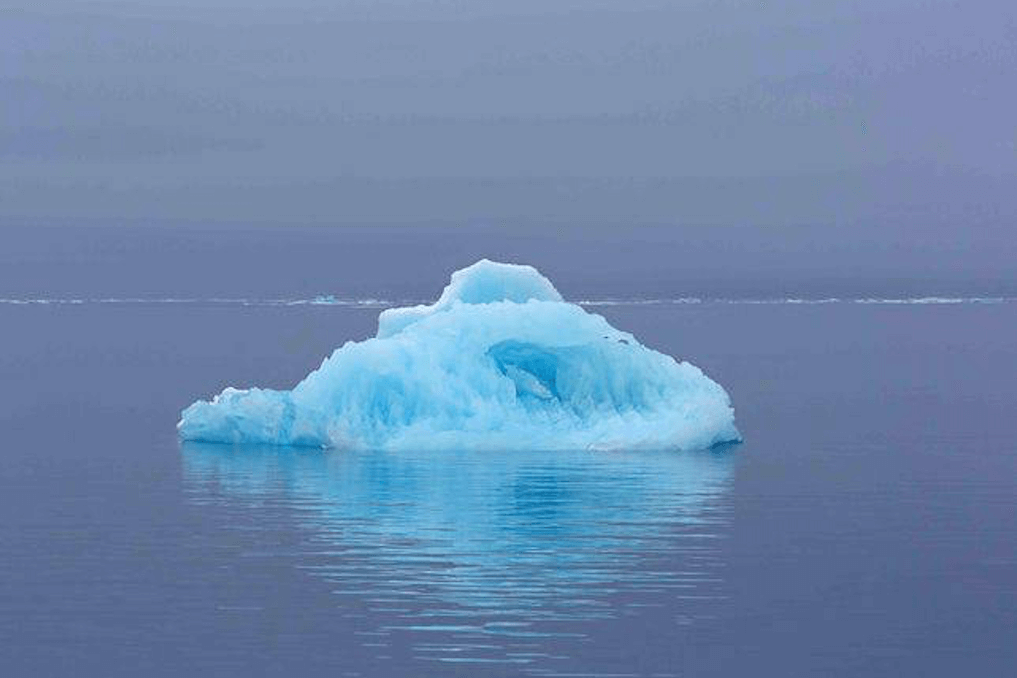 Snímka obrazovky    o