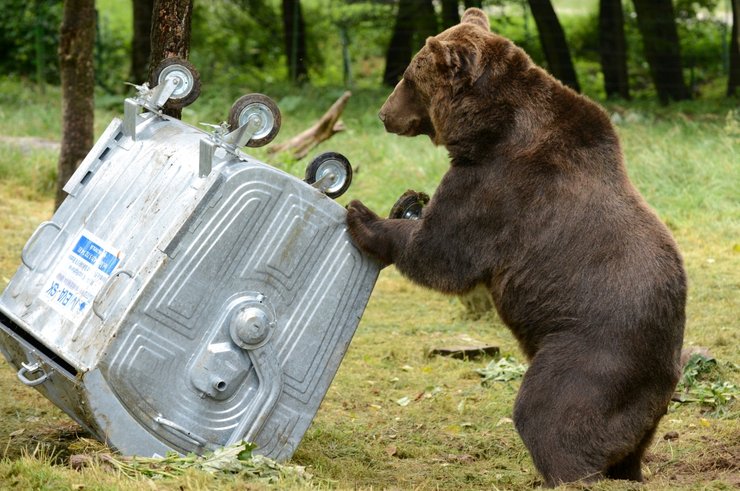 dff ae  bc bca cffaed