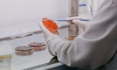 laboratorium ebf