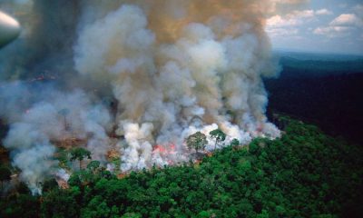 large Amazon rain forest afire fd