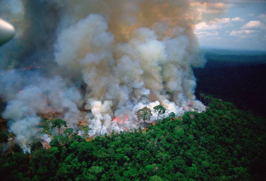 large Amazon rain forest afire fd