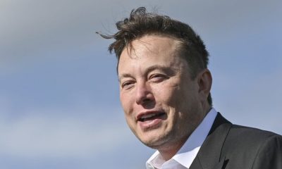 large Elon Musk sita efdd