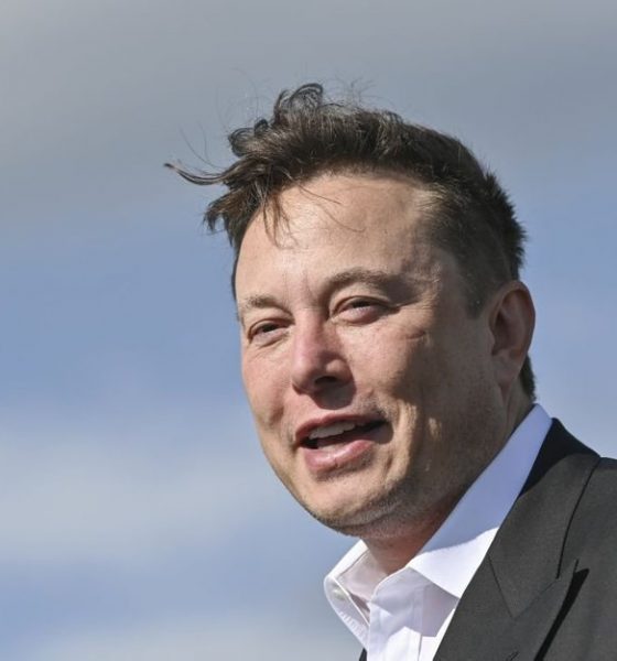large Elon Musk sita efdd