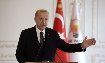 large erdogan feeb