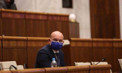 large grohling bfbdb