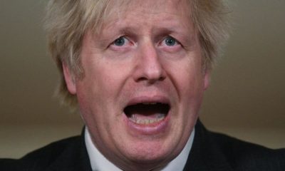large johnson boris dc