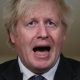 large johnson boris dc