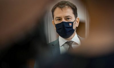 large matovic dfdabd