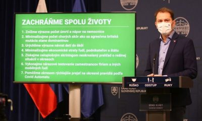 large matovic covid ddbfea