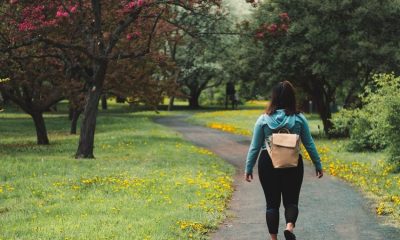 large priroda prechadzka adf