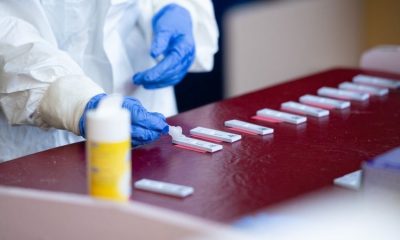 large testovanie ecf