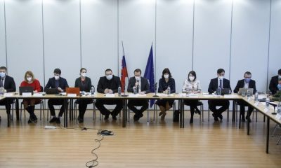 large pandemicka komisia efc